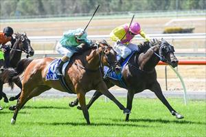 Tower-ing performance from Savabeel gelding